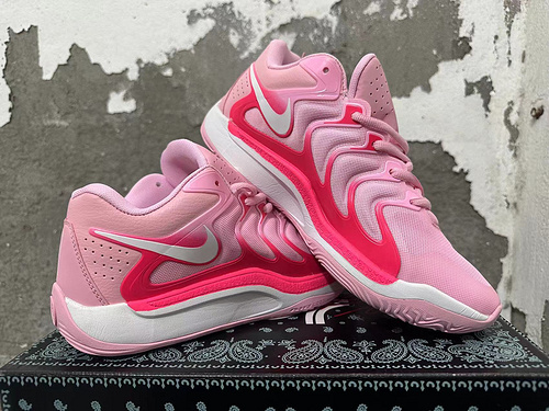 Rosa 41-45